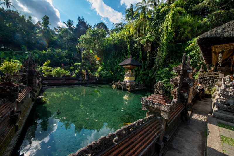 Bali (Indonezja), Azja