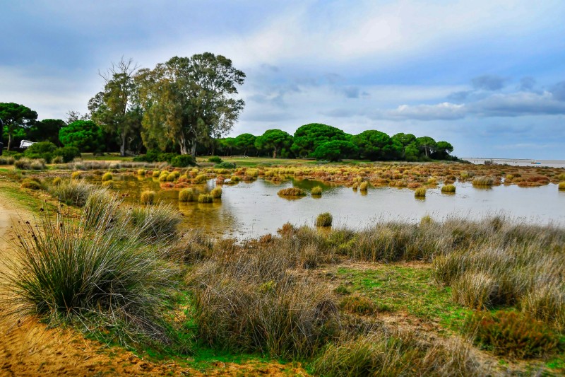 Doñana, Costa de la Luz, Hiszpania