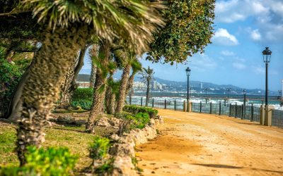 Costa del Sol: Kompletny przewodnik po andaluzyjskim Wybrzeżu Słońca