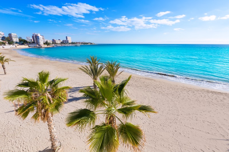 Plaża Playa de San Juan w Alicante na Costa Blanca w Hiszpanii