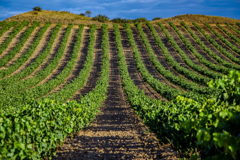 Kraina wina Rioja Alavesa, Kraj Basków, Hiszpania