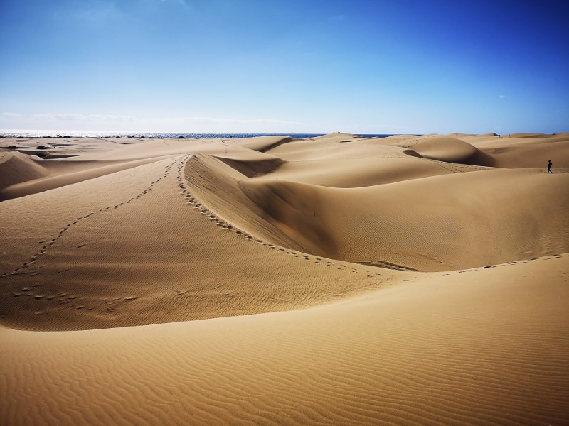 Wydmy Maspalomas na Gran Canarii, Wyspy Kanaryjskie, Hiszpania